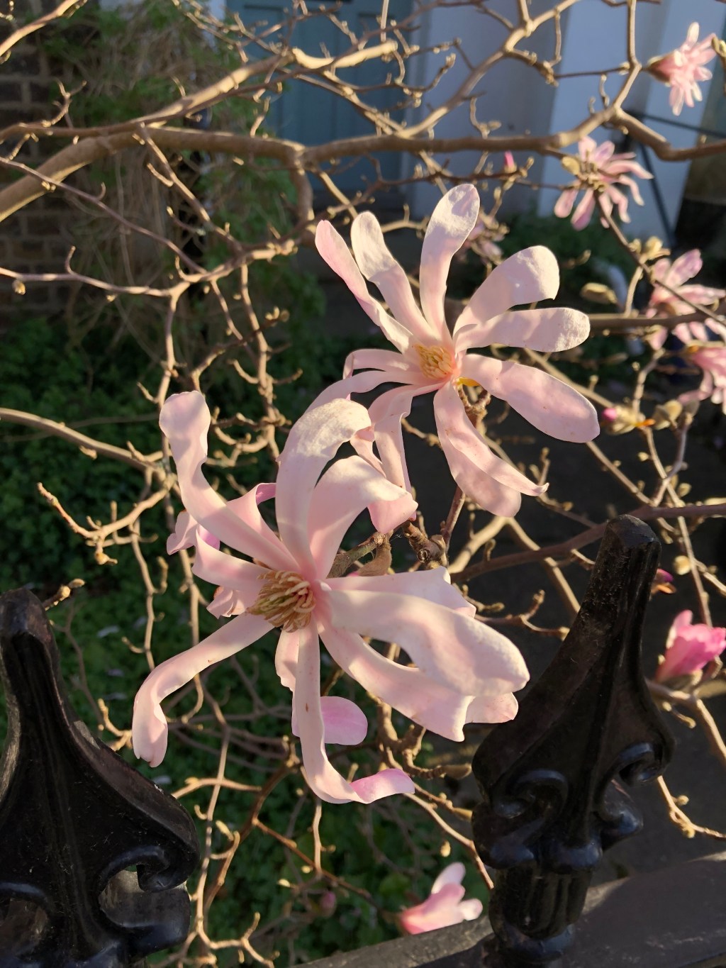 Something is Stirring… England On the Cusp of Spring & A New Sense of&nbsp;Awakening